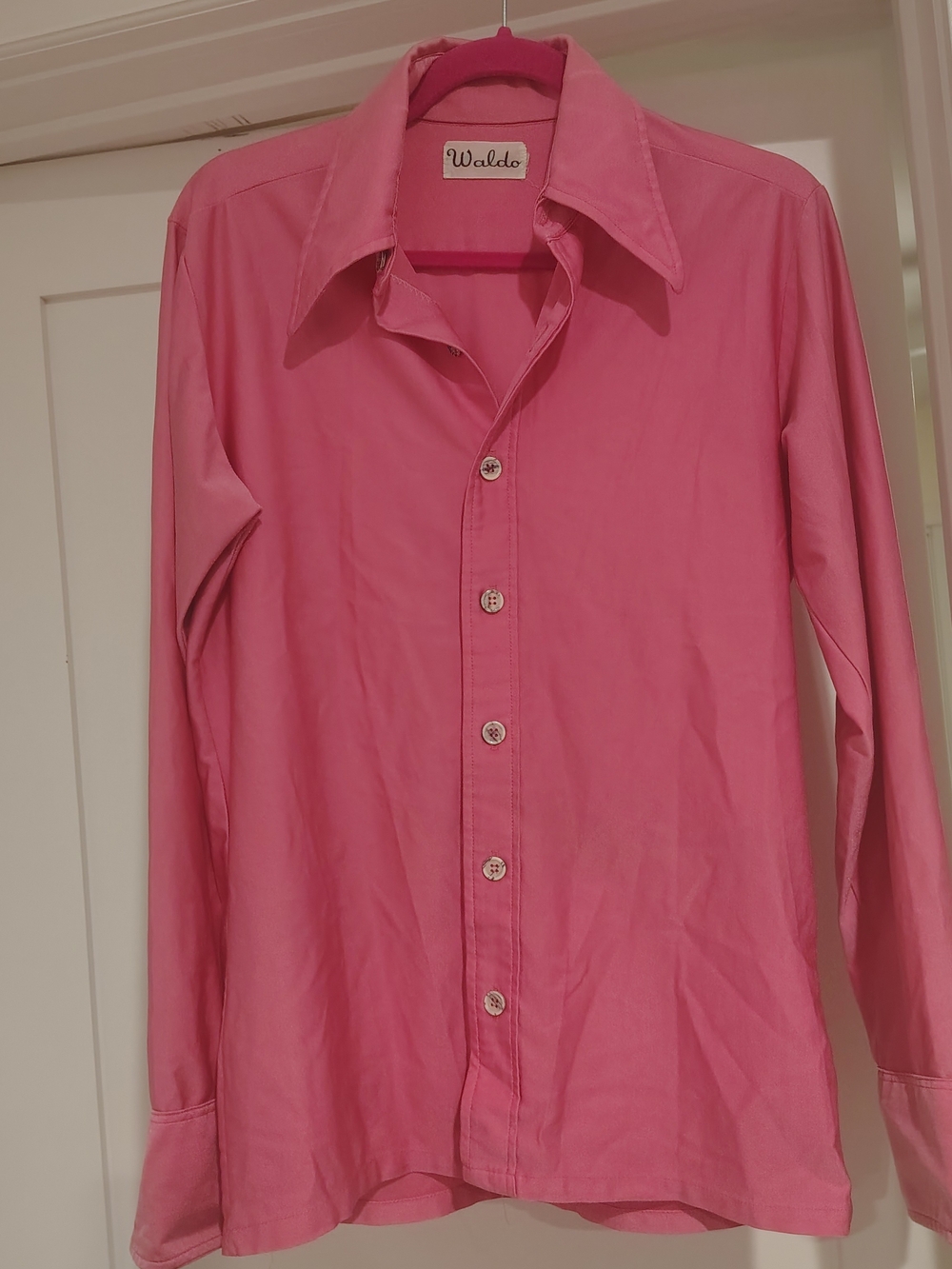 Waldo Pink Button-Up Shirt